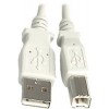 USB 2.0 Type A to B Cable 2.0M - Beige